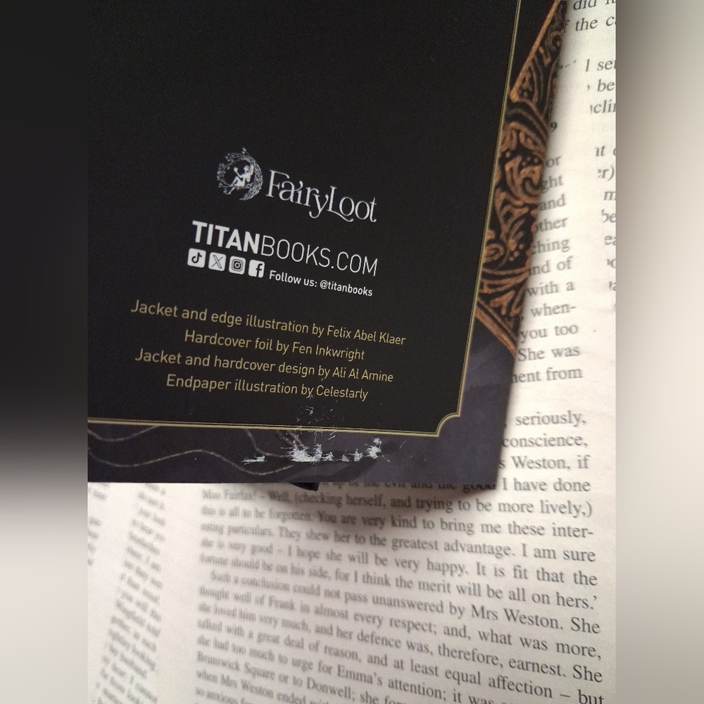 Fairyloot Edition Of Fallen City by Adrienne Young - Picture 10 of 11